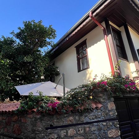 Villa Citronella Boutique Hotel アンタルヤ エクステリア 写真